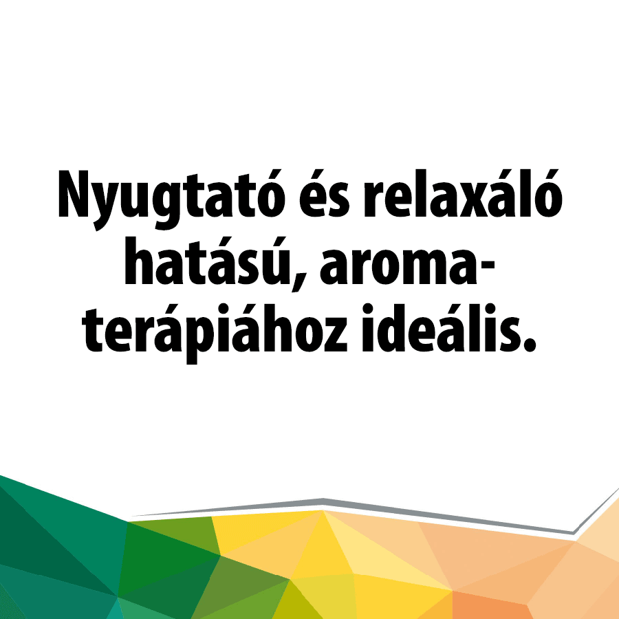 Eszenciális BIO Levendula olaj - Image 2