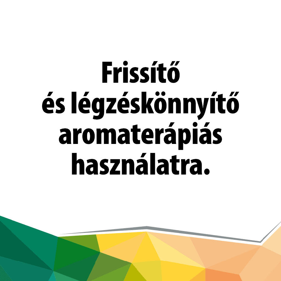 Esszenciális és természetes Eukaliptusz olaj - Image 2