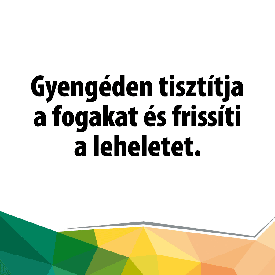 Fogkrém, BIO gyógynövényekkel - Image 2