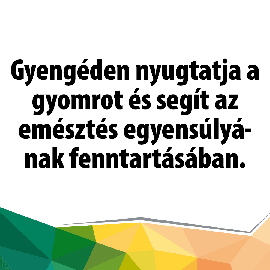 GastroBalm rágótabletta – természetes emésztéstámogató - Image 2