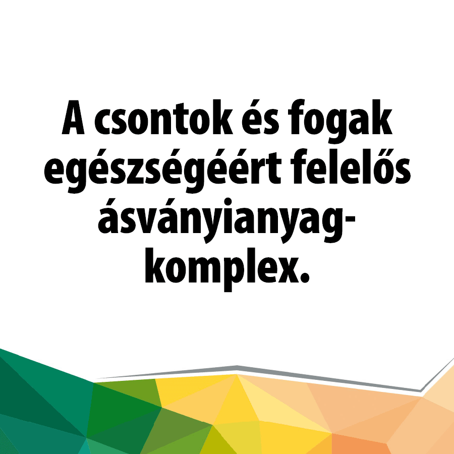 Korall Calcium és Magnézium komplex (30 db. caps.) - Image 2