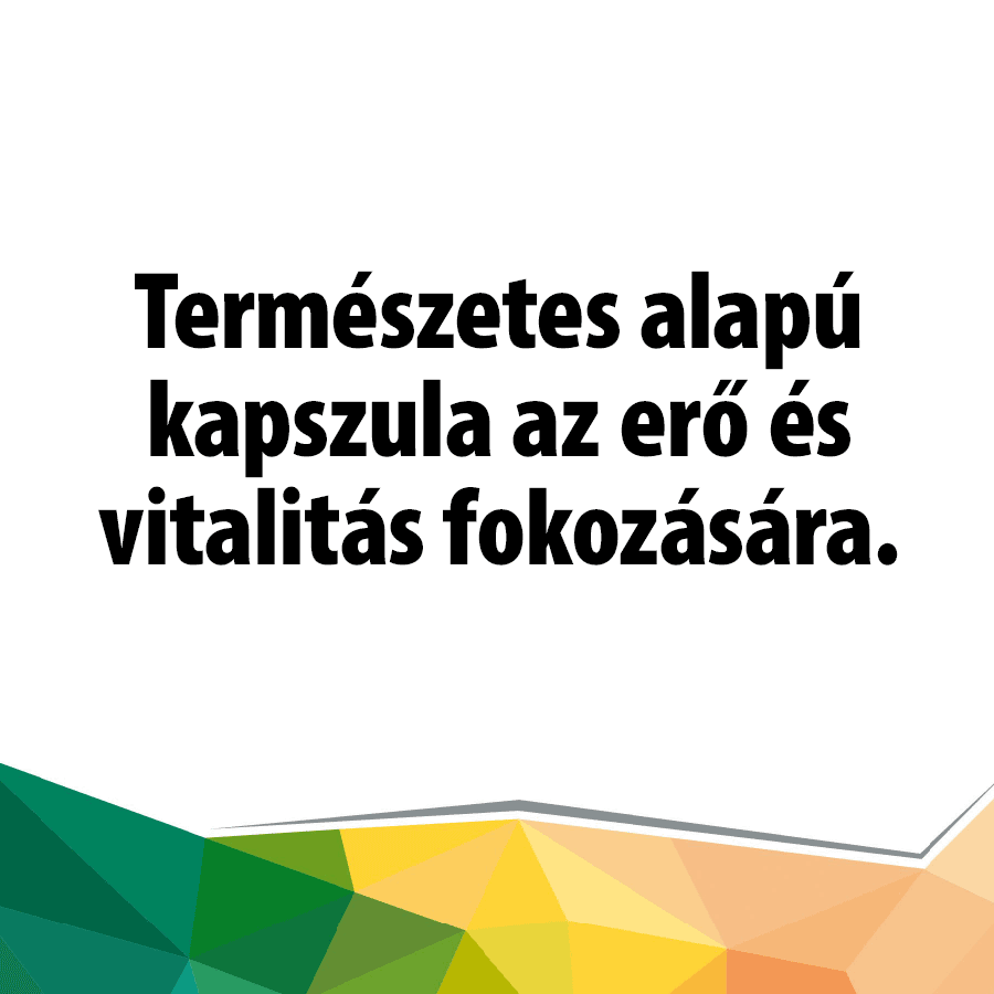 Mobilitást fokozó Medveerő Kapszula (30 db. caps.) - Image 2