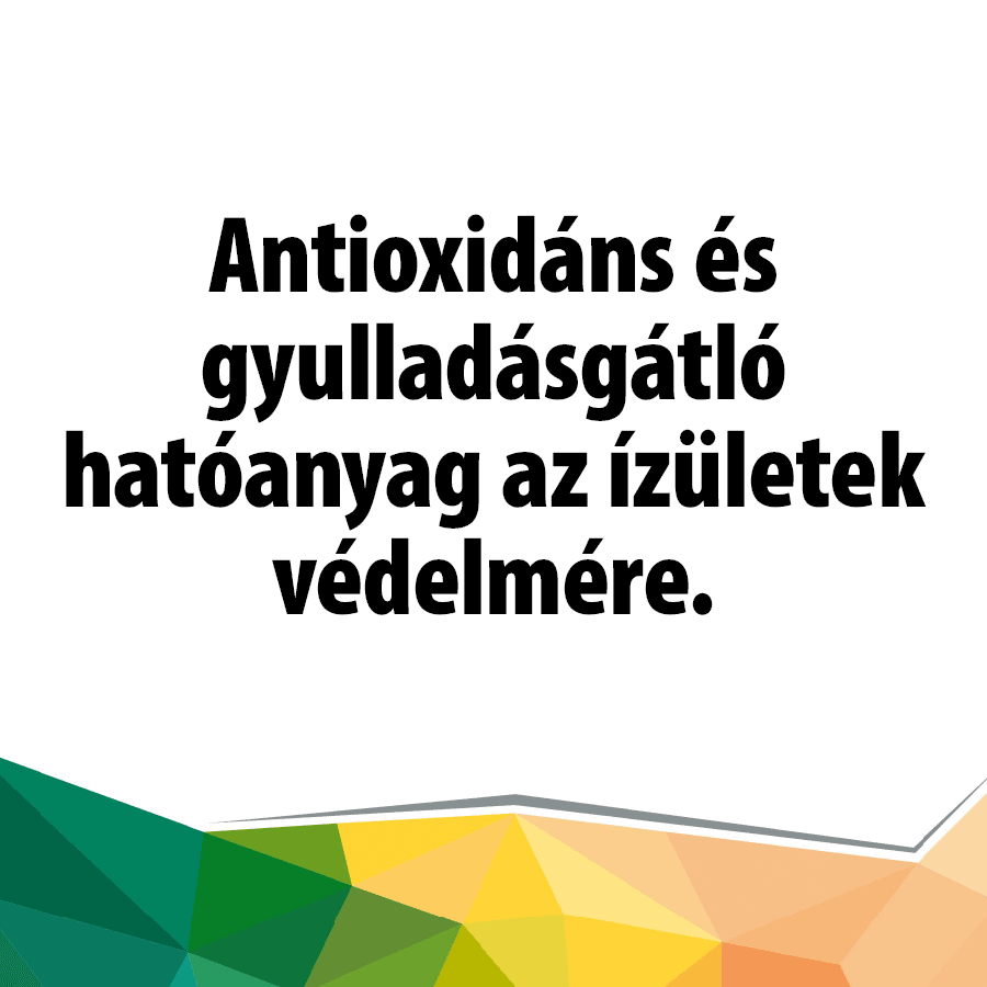 MSM Power (30 db. caps.) - Image 2