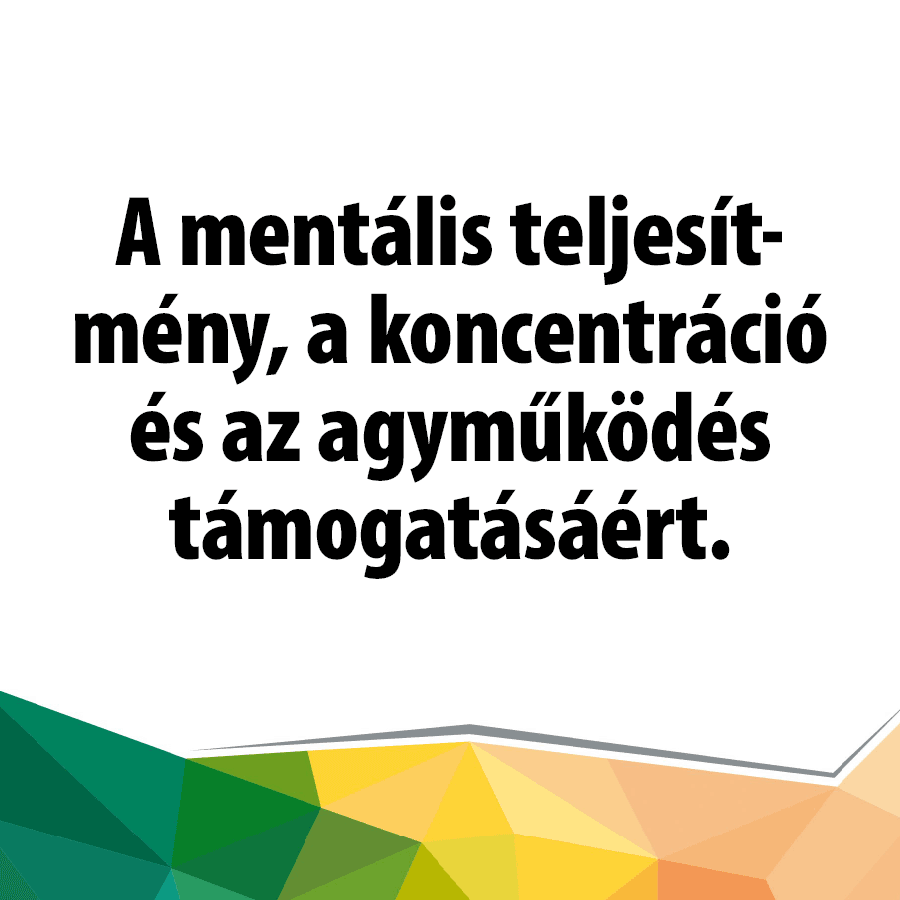 NeurotroFIX citikolinnal - Image 2