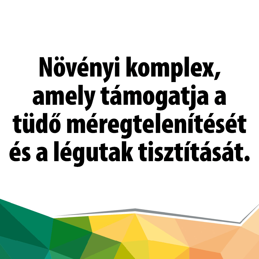 Smokers Aid Detox, bojtorjángyökérrel és articsókával - Image 2