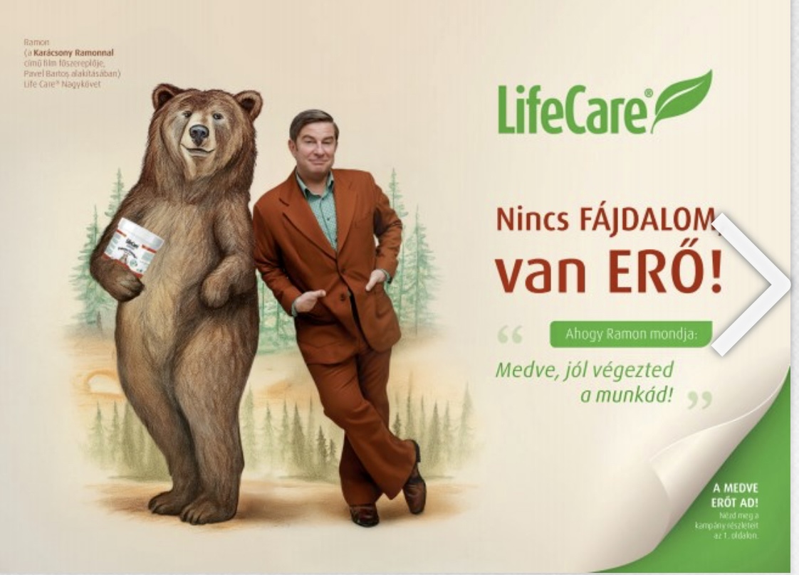 új katalógus borító