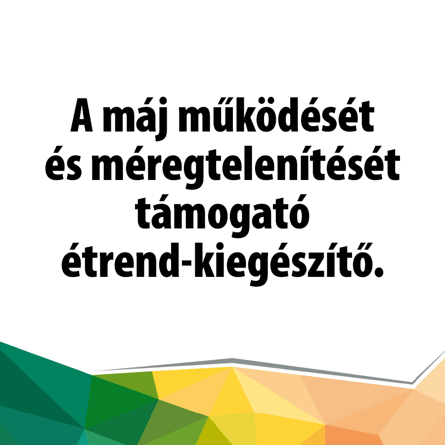 Ultimate Liver support bio articsóka levelekkel (30 db. caps.) - Image 2